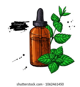 Mint essential oil bottle and peppermint leaves hand drawn vector illustration. Isolated plant drawing for Aromatherapy, beauty and spa, cosmetic ingredient. Great for label, packaging design.