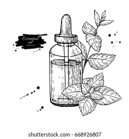 Mint essential oil bottle and peppermint leaves hand drawn vector illustration. Isolated plant drawing for Aromatherapy treatment, alternative medicine, beauty and spa, cosmetic ingredient.