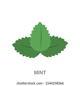 Mint flat icon on white transparent background. You can be used mint icon for several purposes.