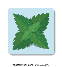 Mint flat icon. Stylized vector green leaves on pastel blue background. Best for web, print, menu decoration, logo creating and branding design.