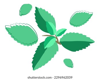 mint, flat style, mint green