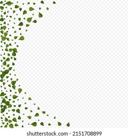 Mint Foliage Blur Vector Transparent Background Concept. Falling Leaf Pattern. Swamp Greens Fresh Template. Leaves Nature Poster.