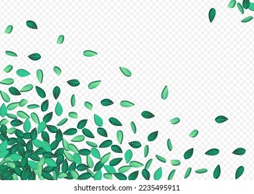 Mint Foliage Blur Vector Transparent Background Concept. Herbal Greens Background. Olive Leaf Motion Border. Leaves Ecology Design.