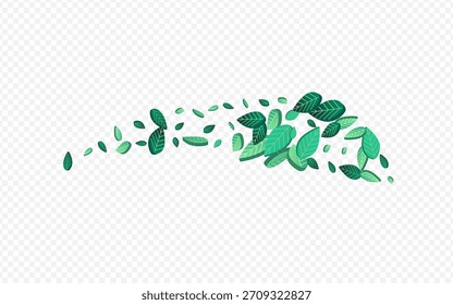 Folleto de fondo transparente de Vector desenfocado de follaje de menta. Fondo de verdes de té. Patrón orgánico de hojas de bosque. Fondo Abstractas de la hoja.