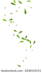 Mint Foliage Blur Vector White Background Poster. Swirl Leaf Pattern. Green Greens Fly Plant. Leaves Ecology Design.