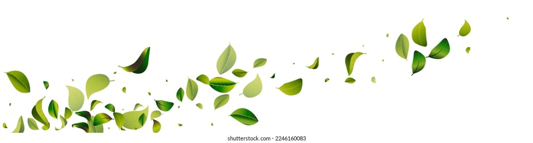 Mint Foliage Blur White Panoramic Vector Background Illustration. Nature Leaves Backdrop. Green Greens Motion Brochure. Leaf Wind Background.