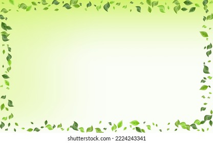 Mint Foliage Ecology Vector Green Background Banner. Flying Greenery Template. Grassy Leaf Tree Concept. Leaves Wind Brochure.