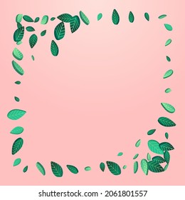 Mint Foliage Ecology Vector Pink Background Branch. Swirl Leaves Backdrop. Forest Leaf Transparent Concept. Greens Fresh Banner.