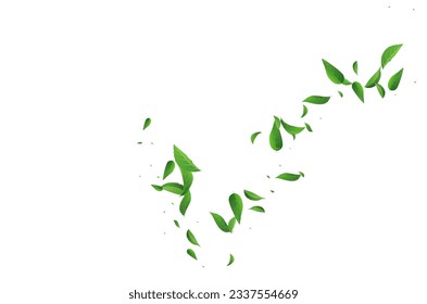 Mint Foliage Ecology Vector White Background Backdrop. Fly Leaf Template. Olive Leaves Herbal Border. Greens Swirl Pattern.