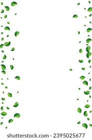 Mint Foliage Ecology Vector White Background. Motion Greens Branch. Swamp Leaf Spring Banner. Leaves Flying Illustration.