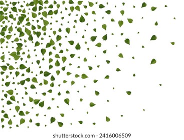Mint Foliage Ecology Vector White Background Backdrop. Tea Greens Banner. Grassy Leaves Abstract Branch. Leaf Motion Plant.