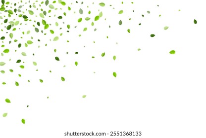 Mint Foliage Falling Vector Pattern. Realistic Leaves Branch. Olive Greens Wind Illustration. Leaf Fresh Background.