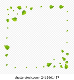 Mint Foliage Falling Vector Transparent Background Concept. Abstract Leaves Wallpaper. Forest Leaf Tree Banner. Greens Swirl Plant.