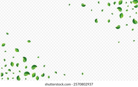 Mint Foliage Falling Vector Transparent Background. Spring Greens Poster. Grassy Leaves Ecology Border. Leaf Fly Template.