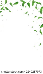 Mint Foliage Falling Vector White Background Illustration. Ecology Greens Template. Grassy Leaves Flying Wallpaper. Leaf Organic Poster.