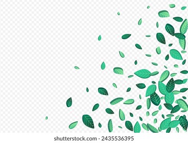 Mint Foliage Fly Vector Transparent Background Brochure. Forest Leaf Branch. Grassy Leaves Tree Border. Greens Falling Plant.