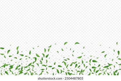 Mint Foliage Flying Vector Transparent Background Illustration. Forest Greens Brochure. Grassy Leaf Nature Concept. Leaves Fly Pattern.