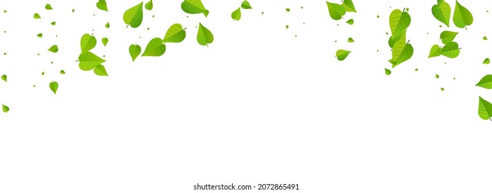 Mint Foliage Motion Vector Panoramic White Background Banner. Flying Greens Branch. Swamp Leaf Swirl Brochure. Leaves Forest Template.