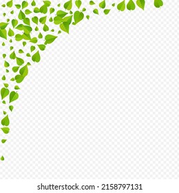 Mint Foliage Motion Vector Transparent Background Concept. Wind Leaves Poster. Swamp Greens Falling Brochure. Leaf Abstract Border.