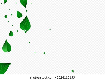 Mint Foliage Motion Vector Transparent Background Branch. Falling Leaf Wallpaper. Swamp Greens Transparent Design. Leaves Abstract Plant.