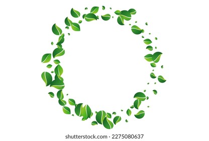 Mint Foliage Motion Vector White Background. Forest Greens Design. Forest Leaf Ecology Illustration. Leaves Spring Border.