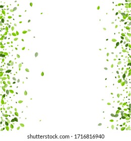 Fondo del vector de la naturaleza de la flotación de tinta. Cartel de Blur Greens. Afiche de la mosca de la hoja del bosque. Deja la frontera forestal.