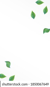 Mint Foliage Nature Vector White Background Concept. Fly Leaf Pattern. Olive Greenery Tea Illustration. Leaves Herbal Poster.
