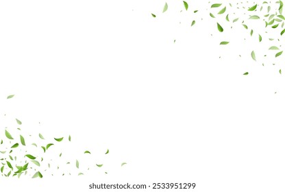 Mint Foliage Nature Vector White Background Concept. Forest Leaf Backdrop. Lime Leaves Tree Design. Greens Swirl Illustration.