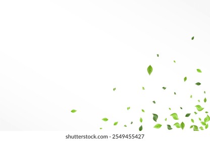 Mint Foliage Nature Vector White Background Concept. Fly Leaf Poster. Grassy Leaves Blur Border. Greenery Falling Template.