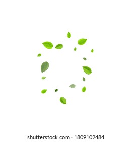 Mint Foliage Organic Vector Banner. Swirl Greens Branch. Green Leaves Tea Plant. Leaf Transparent Wallpaper.