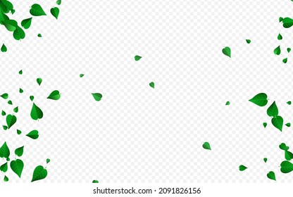 Mint Foliage Organic Vector Transparent Background Poster. Blur Greens Banner. Swamp Leaf Transparent Pattern. Leaves Wind Wallpaper.