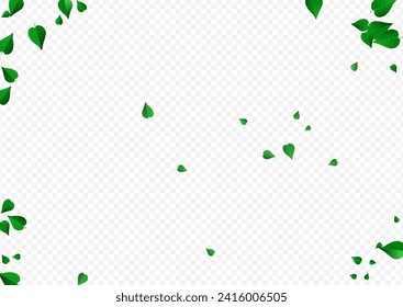 Mint Foliage Organic Vector Transparent Background Concept. Abstract Leaf Illustration. Olive Greens Forest Backdrop. Leaves Flying Brochure.