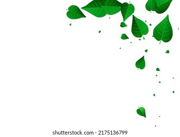 Mint Foliage Organic Vector White Background Poster. Wind Leaves Banner. Grassy Greens Spring Concept. Leaf Fly Branch.