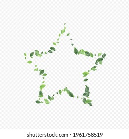 Concepto De Fondo Transparente Realista De Vector De Foliage De Mint. Banner de Swirl Leaves. Diseño de primavera de verdor de hierba. Fondo orgánico de hoja.