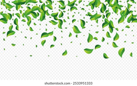 Mint Foliage Realistic Vector Transparent Background. Organic Greens Template. Grassy Leaf Transparent Branch. Leaves Motion Wallpaper.