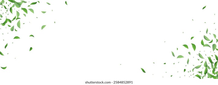 Mint Foliage Spring Vector Panoramic White Background Brochure. Swirl Greens Illustration. Grassy Leaves Fly Wallpaper. Leaf Blur Banner.