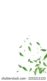 Mint Foliage Spring Vector White Background Branch. Realistic Leaves Wallpaper. Swamp Greens Flying Template. Leaf Falling Plant.
