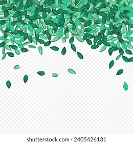 Mint Foliage Swirl Vector Transparent Background Poster. Fresh Leaves Brochure. Olive Greens Abstract Design. Leaf Nature Pattern.