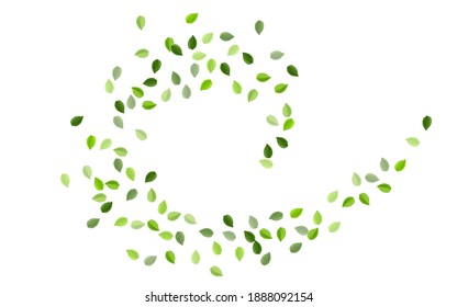 Mint Foliage Tea leaves Vector Backdrop. Realistic Leaf Concept. Lime Leaves Fly Pattern. Greens Wind Brochure.