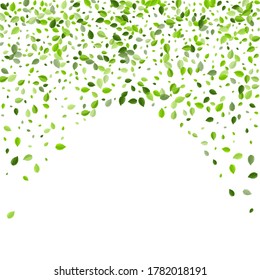 Mint Foliage Transparent Vector Concept. Falling Leaf Pattern. Lime Leaves Flying Wallpaper. Greens Fly Branch.