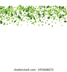 Mint Foliage Tree Vector Design. Transparent Leaf Wallpaper. Olive Greens Fresh Pattern. Leaves Nature Concept.
