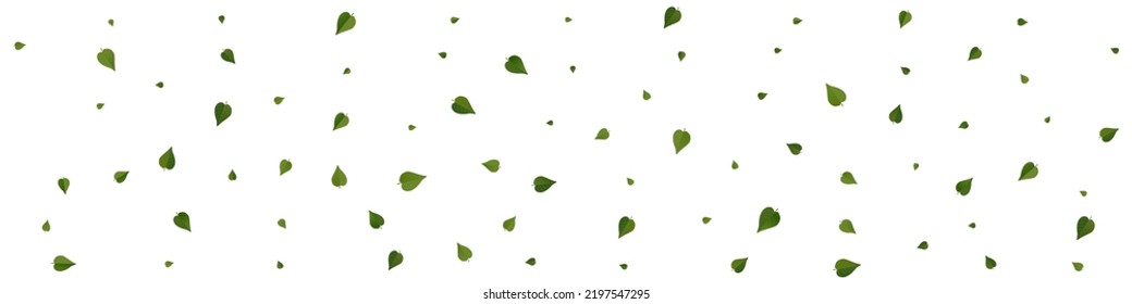 Mint Foliage Tree Vector Panoramic White Background Branch. Wind Leaf Border. Swamp Leaves Nature Wallpaper. Greens Herbal Poster.