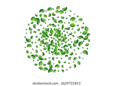 Mint Foliage Tree Vector White Background. Flying Leaf Template. Lime Greens Organic Plant. Leaves Transparent Branch.