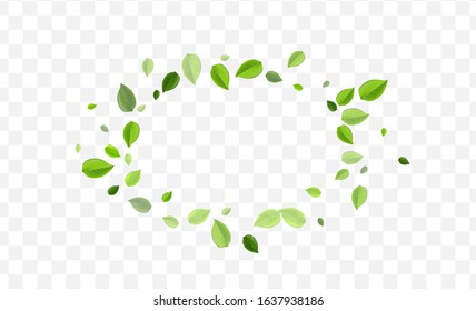 Mint Foliage Vector Concept. Green Leaf Wind Background. Motion Design. Forest Leaves Flying Template.
