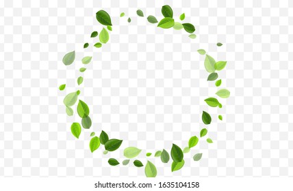 Mint Foliage Vector Design. Swamp Leaf Fresh Banner. Ecology Illustration. Green Greens Swirl Pattern.