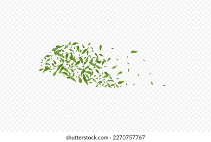 Mint Foliage Wind Vector Transparent Background Pattern. Ecology Leaf Poster. Green Leaves Motion Template. Greens Organic Plant.