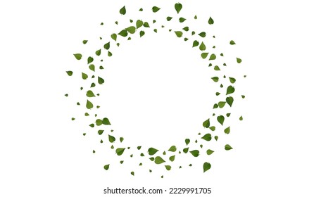 Mint Foliage Wind Vector White Background Illustration. Nature Leaf Poster. Grassy Greens Ecology Design. Leaves Abstract Border.