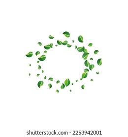 Mint Foliage Wind Vector White Background. Transparent Leaf Design. Green Greens Blur Illustration. Leaves Fresh Branch.