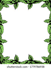 The mint frame is rectangular. Mint for decorating recipes, menus, wedding invitations. Vector illustration of mint in the form of a frame