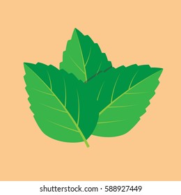 Mint green illustration set